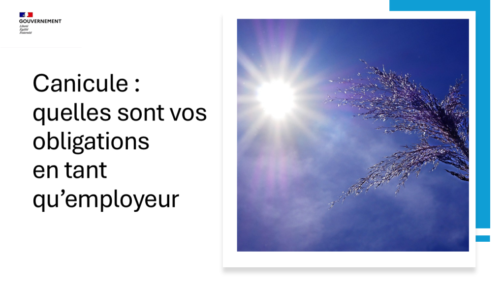 Canicule : quelles sont vos obligations en tant qu’employeur ?